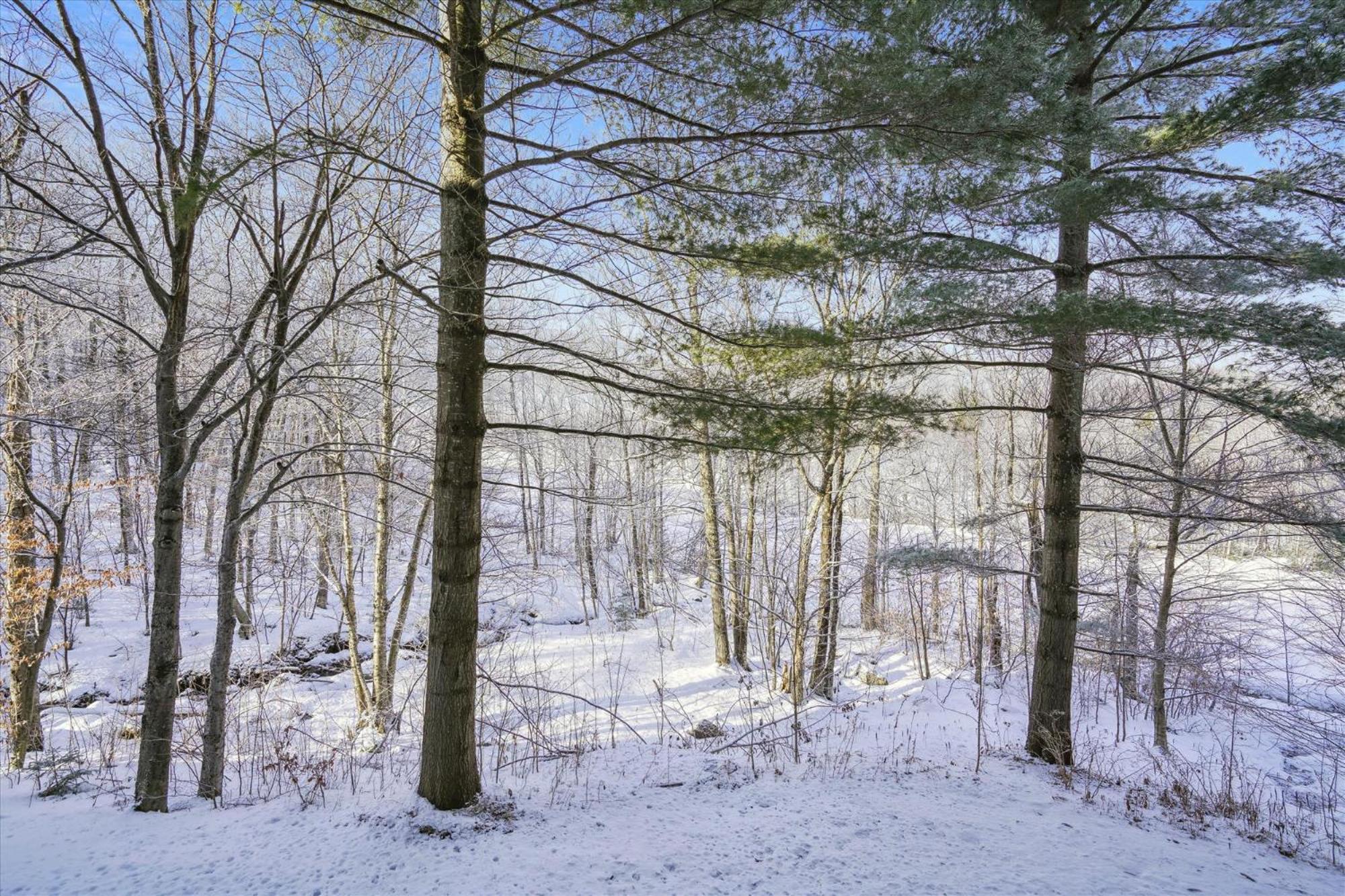 3-Bedroom Condo Ski-In, Shuttle, And Cozy Fireplace Whiffletree I3 Killington Dış mekan fotoğraf